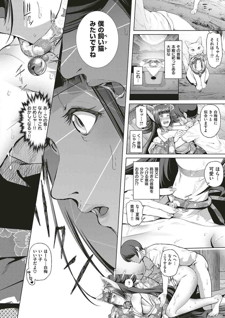 【エロ漫画】(1/4話)数百年に一度の発情期で眷属の猫たちが勧める男に子作りを手伝ってもらおうとする爆乳の猫又…肉体から発する匂いだけで絶頂してしまい何とか自我を保ちつつ孕むまで何度も激しい中出しセックス【すずはねすず:ボーイミーツにゃーゴッド またたびホワイト】